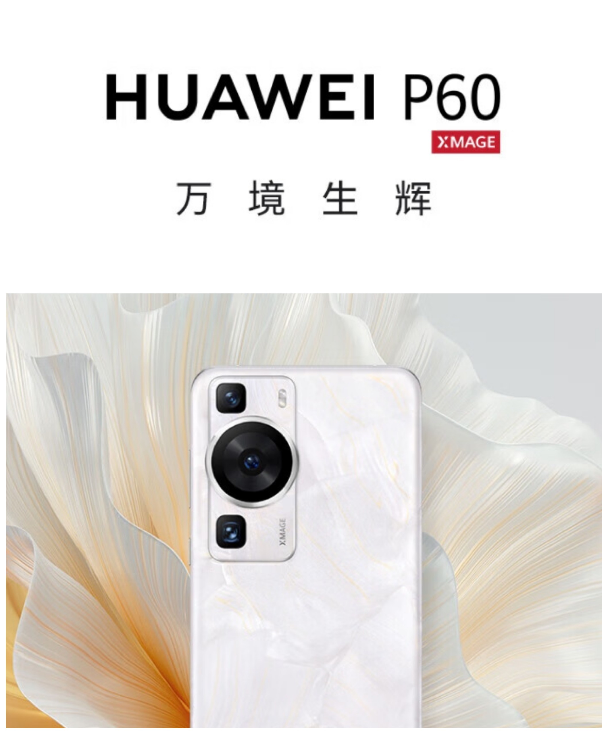 天语手机如何删除桌面资讯如何删除手机通讯录文件输助手页面-第1张图片-太平洋在线下载