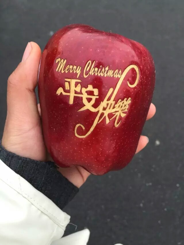 快乐平安苹果版快乐平安苹果版下载-第1张图片-太平洋在线下载