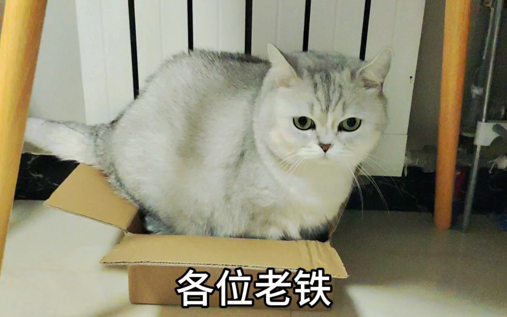 苹果版互赞盒子探秘徐家汇生活盒子-第2张图片-太平洋在线下载